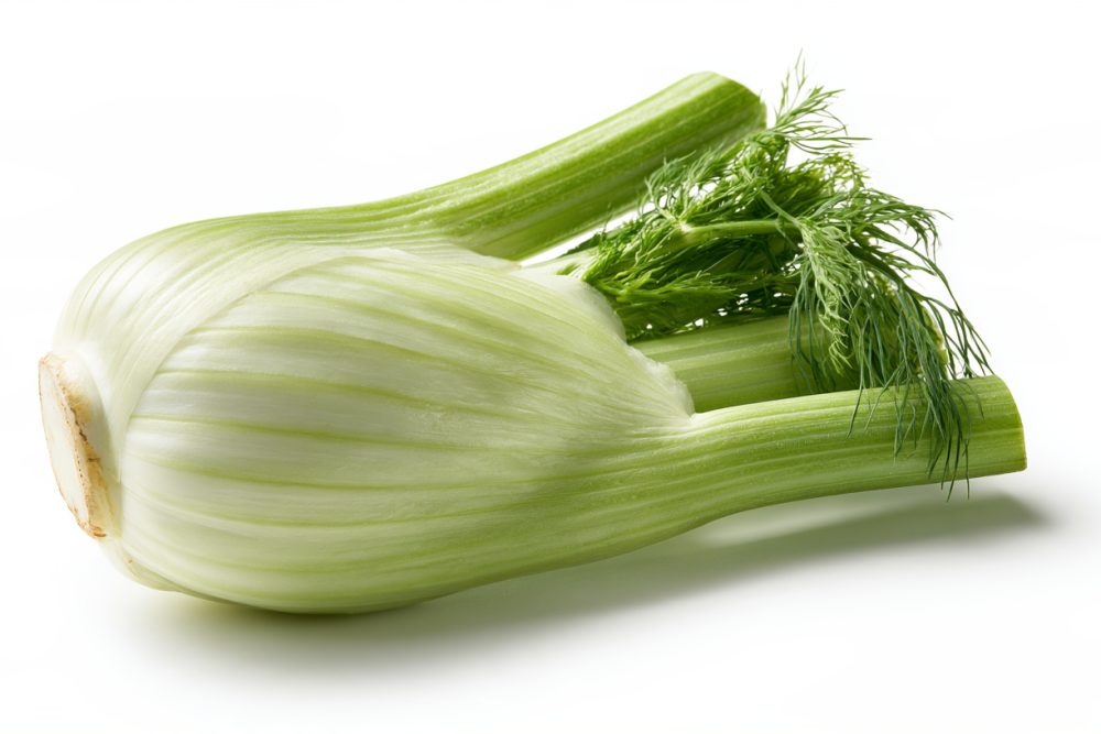 Fenchel für Babys