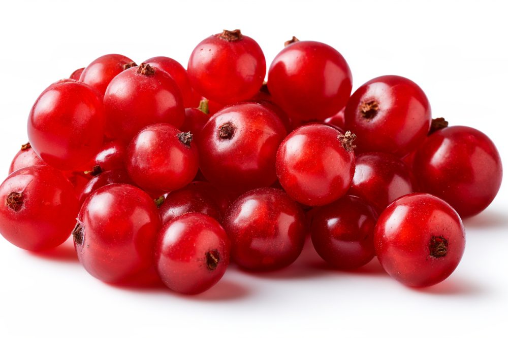 Johannisbeeren für Babys
